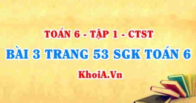 Bài 3 trang 53 SGK Toán 6 Chân trời sáng tạo Tập 1